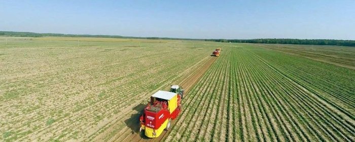 Agriculture : la ruée vers les sols