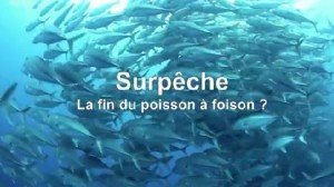 surpeche-la-fin-du-poisson-a-foison.jpg